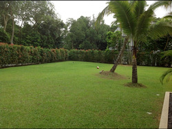 Eng Neo Avenue (D11), Detached #448239891